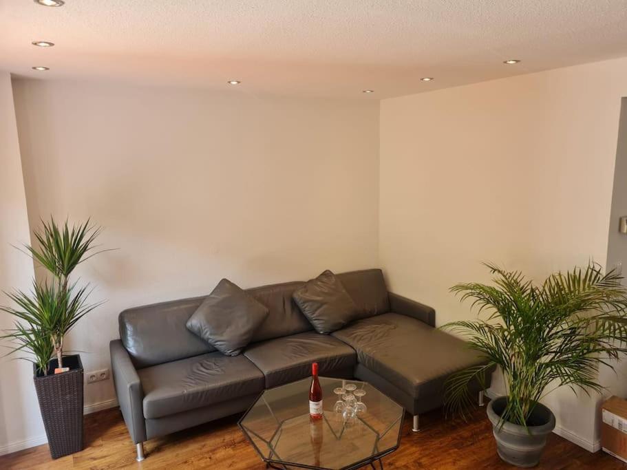Ein Zuhause Mit Schonem Garten Apartment บอนน์ ภายนอก รูปภาพ